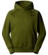 Sudadera con capucha y manga raglán The North Face NSE Box Hombre Woodland Green
