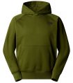 Compra online Sudadera con capucha y manga raglán The North Face NSE Box Hombre Woodland Green en oferta al mejor precio