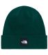 Gorro reciclado The North Face Dock Worker Hunter Green