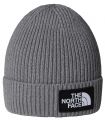 Compra online Gorro con borde y logotipo de The North Face encuadrado Niños TNF Medium Grey en oferta al mejor precio