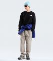Compra online Sudadera The North Face Evolution Box Nse Regular Crew Hombre TNF Black en oferta al mejor precio