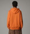 Compra online Sudadera The North Face con capucha y estampado gráfico Outdoor Hombre Iron Bronze en oferta al mejor precio
