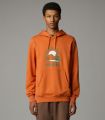 Compra online Sudadera The North Face con capucha y estampado gráfico Outdoor Hombre Iron Bronze en oferta al mejor precio