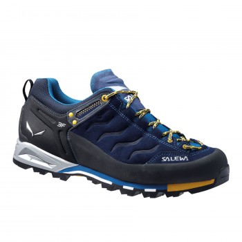 Zapatillas de montaña Salewa Ms Mtn Trainer GTX hombre