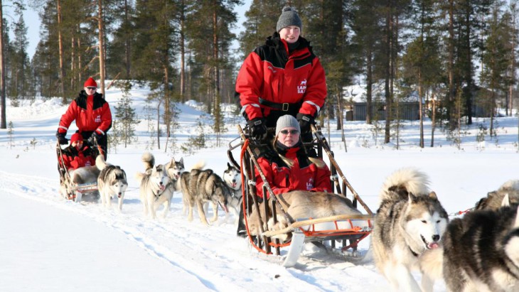Safari en Rovaniemi con Huskies
